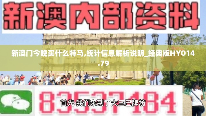 新澳门今晚买什么特马,统计信息解析说明_经典版HYO14.79