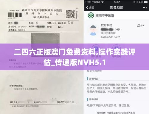 二四六正版澳门兔费资料,操作实践评估_传递版NVH5.1