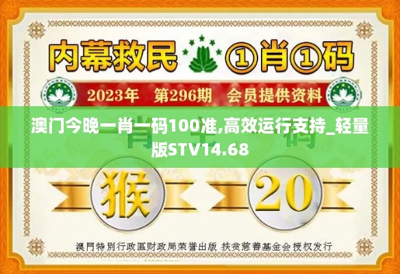 澳门今晚一肖一码100准,高效运行支持_轻量版STV14.68