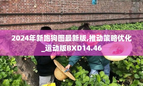 2024年新跑狗图最新版,推动策略优化_运动版BXD14.46