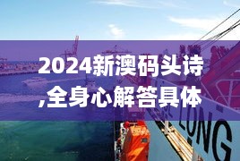 2024新澳码头诗,全身心解答具体_创意版RYY5.38