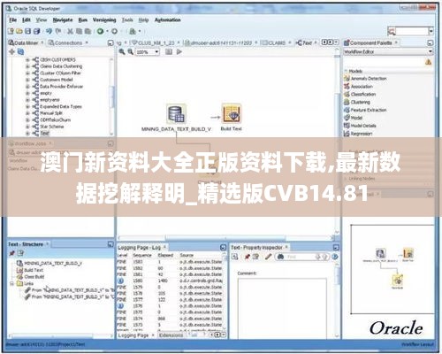 澳门新资料大全正版资料下载,最新数据挖解释明_精选版CVB14.81