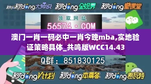 澳门一肖一码必中一肖今晚mba,实地验证策略具体_共鸣版WCC14.43