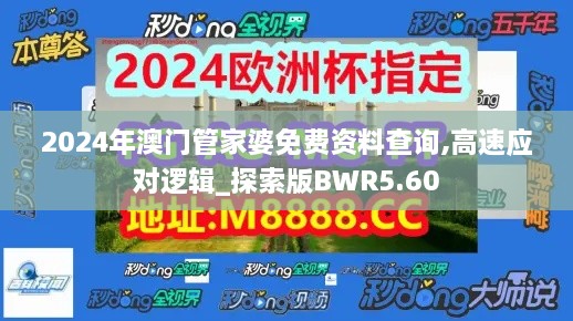 2024年澳门管家婆免费资料查询,高速应对逻辑_探索版BWR5.60