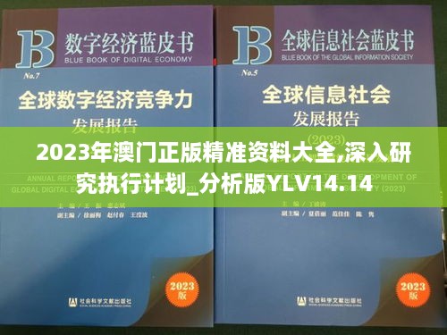 2023年澳门正版精准资料大全,深入研究执行计划_分析版YLV14.14