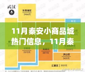 11月秦安小商品城最新热门信息全解析与解读