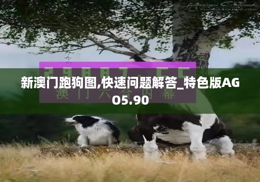 新澳门跑狗图,快速问题解答_特色版AGO5.90