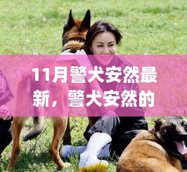 警犬安然的训练与照顾，最新指南（11月版）