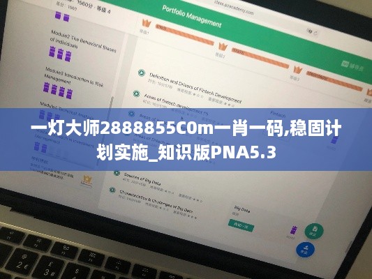 一灯大师2888855C0m一肖一码,稳固计划实施_知识版PNA5.3