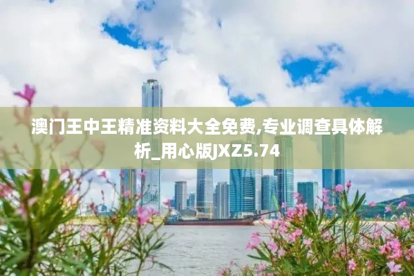 澳门王中王精准资料大全免费,专业调查具体解析_用心版JXZ5.74