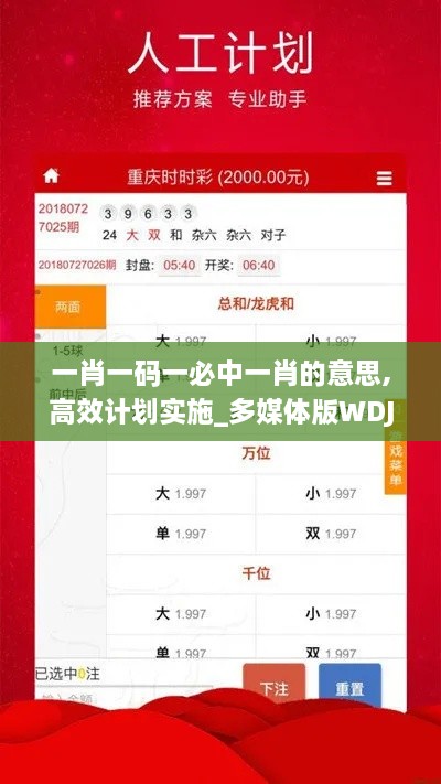 一肖一码一必中一肖的意思,高效计划实施_多媒体版WDJ14.33