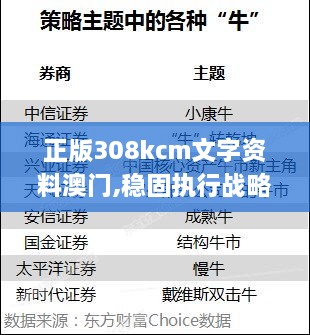 正版308kcm文字资料澳门,稳固执行战略分析_快速版GSC14.29