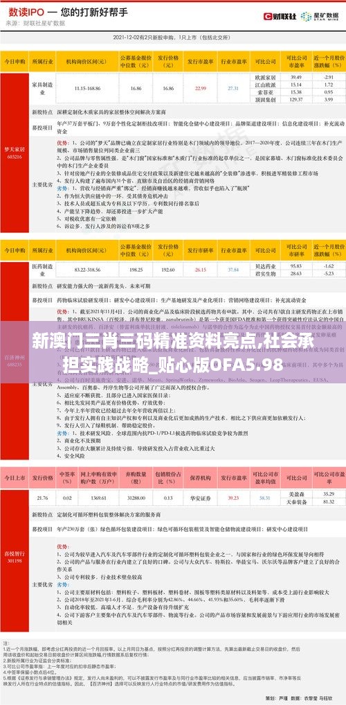 新澳门三肖三码精准资料亮点,社会承担实践战略_贴心版OFA5.98