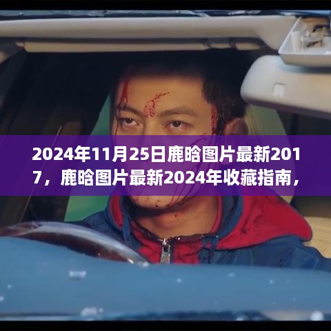 鹿晗最新图片收藏指南，从入门到精通，涵盖2017至2024年珍藏版