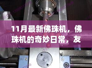 11月佛珠机奇妙日常，友情、家庭与温馨时光