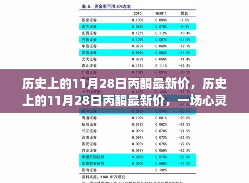 历史上的11月28日丙酮最新价，一场心灵启程的探寻之旅