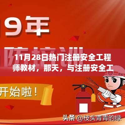 注册安全工程师教材邂逅记，11月28日的热门教材探索