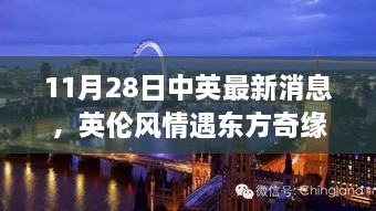 英伦风情与东方奇缘的温馨日常故事，中英最新消息揭秘，11月28日的日常故事