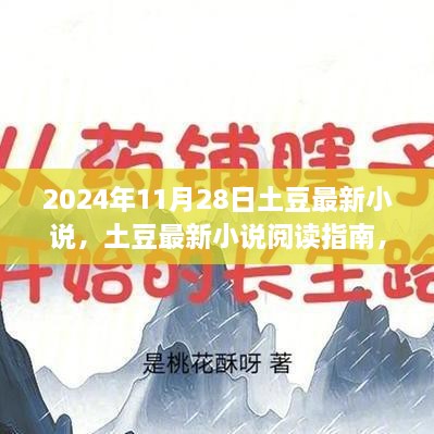 土豆最新小说阅读指南，轻松获取并阅读2024年最新发布小说