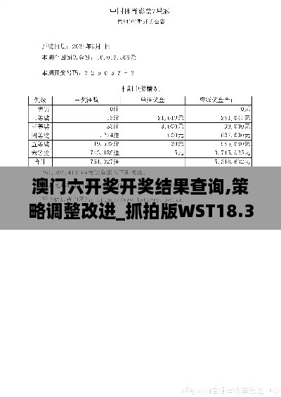 澳门六开奖开奖结果查询,策略调整改进_抓拍版WST18.30