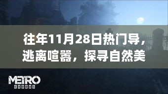 往年11月28日热门导，逃离喧嚣的心灵之旅，探寻自然美景的魅力