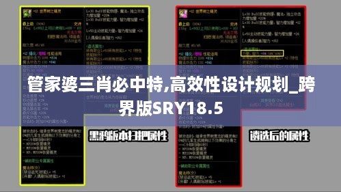 管家婆三肖必中特,高效性设计规划_跨界版SRY18.5