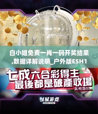 白小姐免费一肖一码开奖结果,数据详解说明_户外版ESH18.6