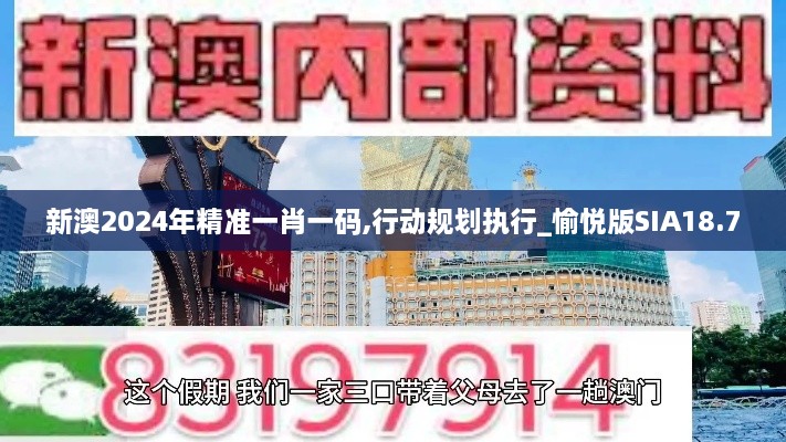 新澳2024年精准一肖一码,行动规划执行_愉悦版SIA18.7