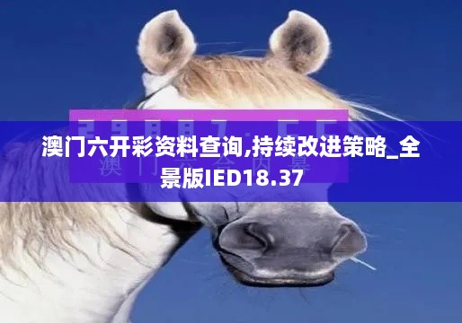 澳门六开彩资料查询,持续改进策略_全景版IED18.37