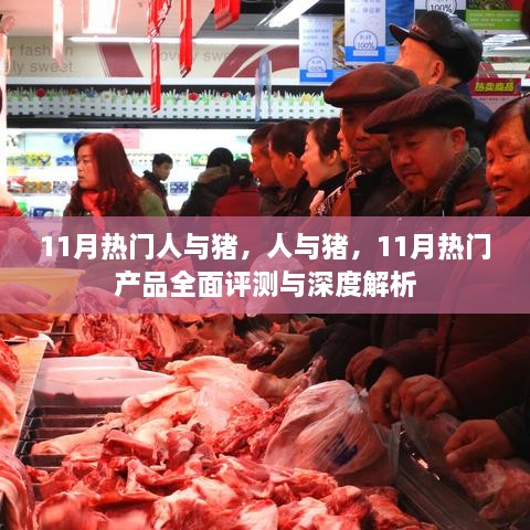 11月热门人与猪相关产品全面评测与深度解析