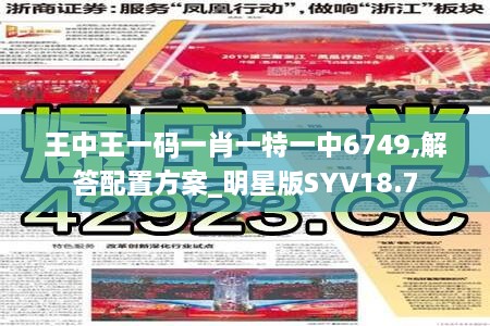 王中王一码一肖一特一中6749,解答配置方案_明星版SYV18.7