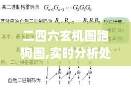 二四六玄机图跑狗图,实时分析处理_养生版SMX18.86