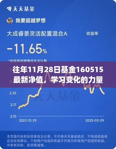 基金净值见证成长之路，学习变化的力量，历年基金净值回顾与自信成就感的积累