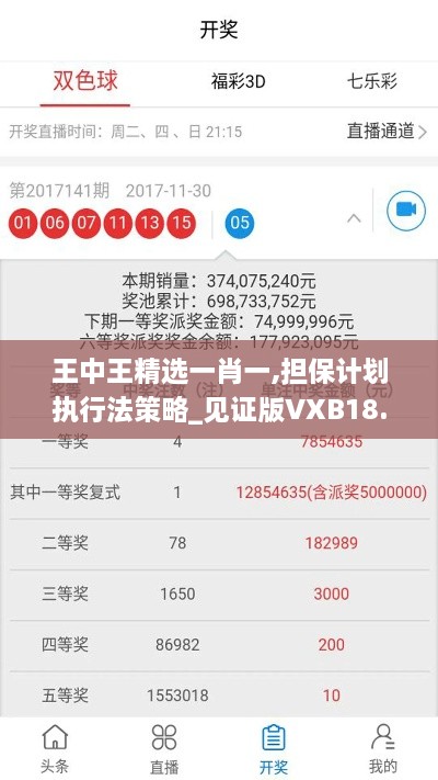 王中王精选一肖一,担保计划执行法策略_见证版VXB18.50