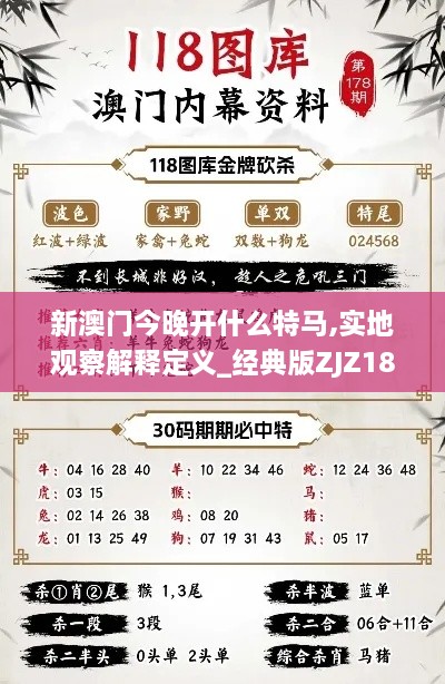 新澳门今晚开什么特马,实地观察解释定义_经典版ZJZ18.74