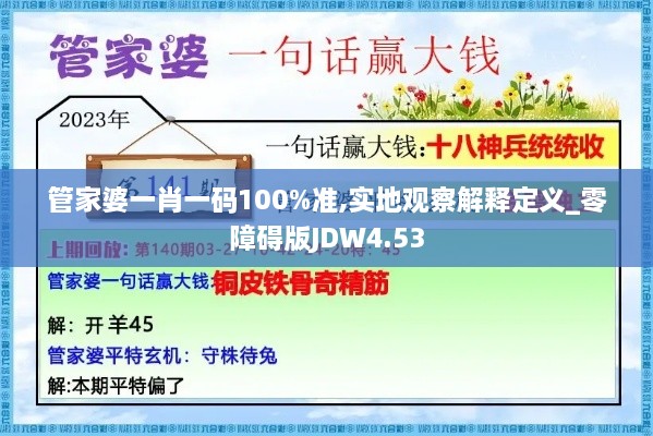 管家婆一肖一码100%准,实地观察解释定义_零障碍版JDW4.53