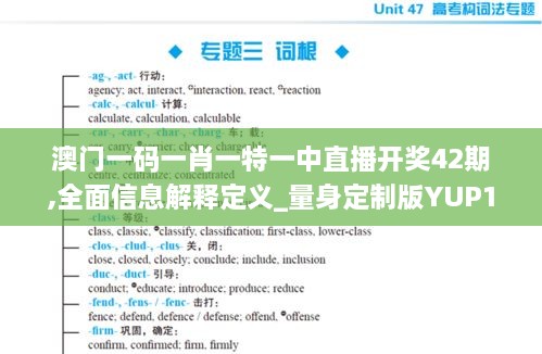 澳门一码一肖一特一中直播开奖42期,全面信息解释定义_量身定制版YUP18.67