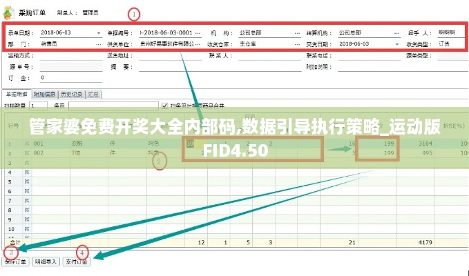 管家婆免费开奖大全内部码,数据引导执行策略_运动版FID4.50