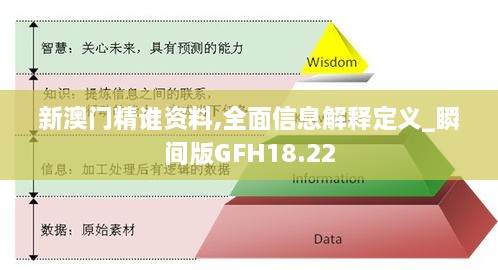 新澳门精谁资料,全面信息解释定义_瞬间版GFH18.22