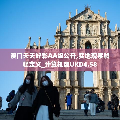 澳门天天好彩AA级公开,实地观察解释定义_计算机版UKD4.58