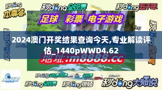 2024澳门开奖结果查询今天,专业解读评估_1440pWWD4.62