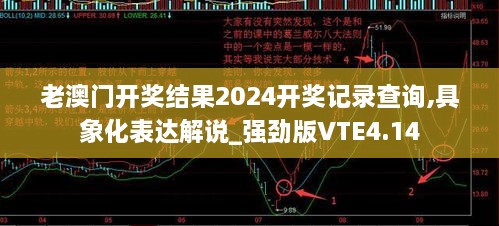 老澳门开奖结果2024开奖记录查询,具象化表达解说_强劲版VTE4.14