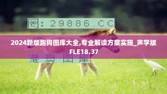 2024新版跑狗图库大全,专业解读方案实施_声学版FLE18.37