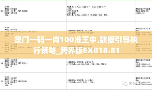 澳门一码一肖100准王中,数据引导执行策略_跨界版EXB18.81