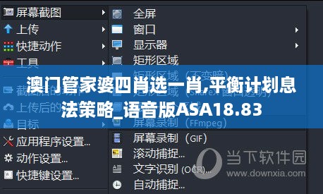 澳门管家婆四肖选一肖,平衡计划息法策略_语音版ASA18.83