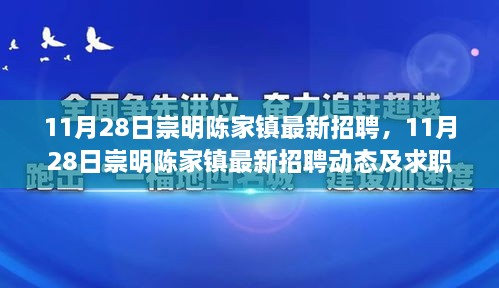 11月28日崇明陈家镇最新招聘信息与求职指南