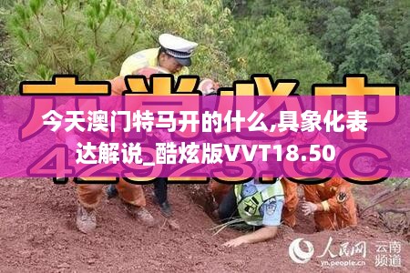 今天澳门特马开的什么,具象化表达解说_酷炫版VVT18.50