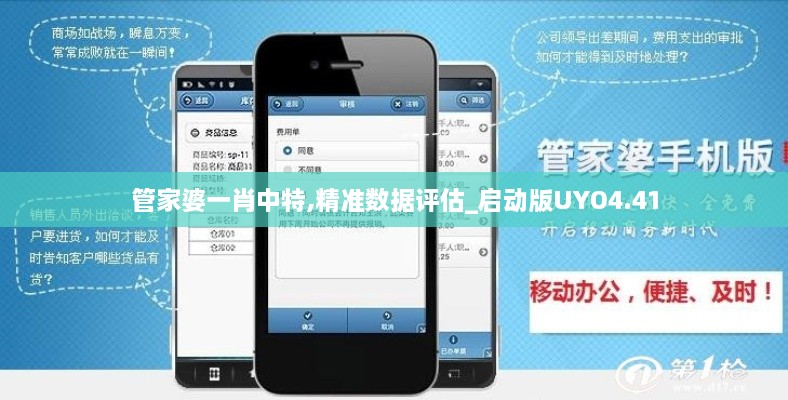 管家婆一肖中特,精准数据评估_启动版UYO4.41