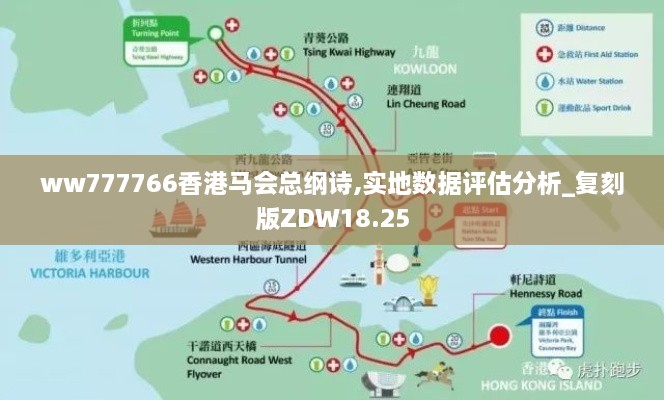 ww777766香港马会总纲诗,实地数据评估分析_复刻版ZDW18.25