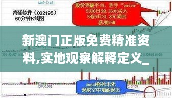 新澳门正版免费精准资料,实地观察解释定义_时刻版KAK18.86